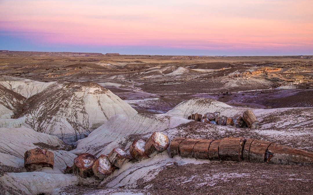 Petrified Forest National Park Arizona Worth a Visit!