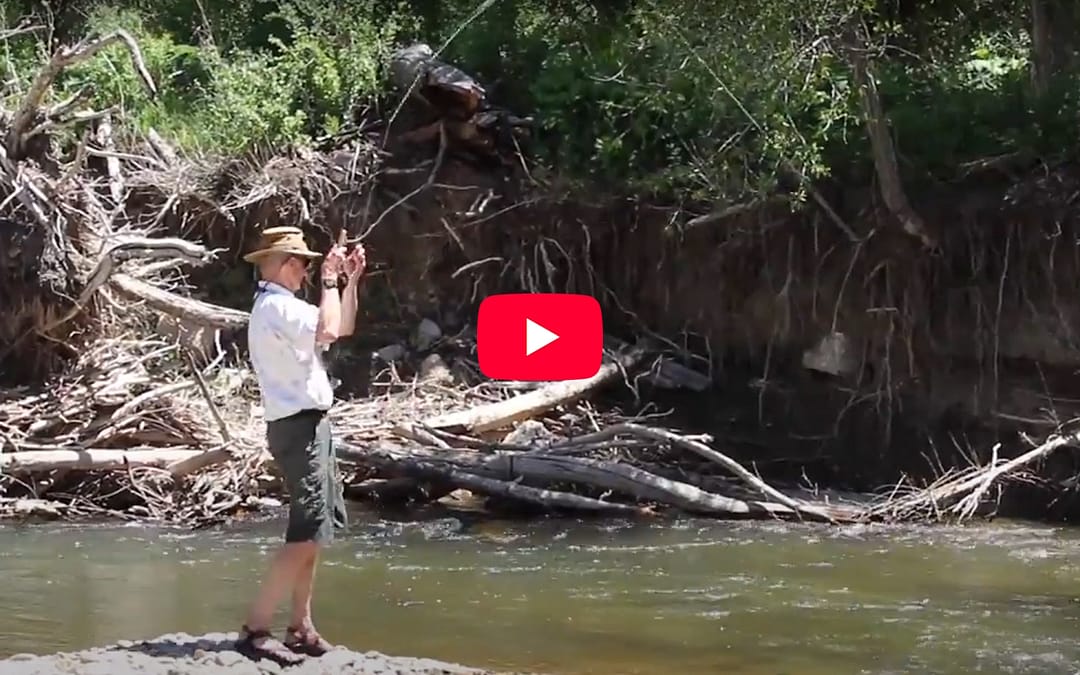 Chasing Adventures: A Stonefly Hatch Creates Unforgettable Moments on the Water