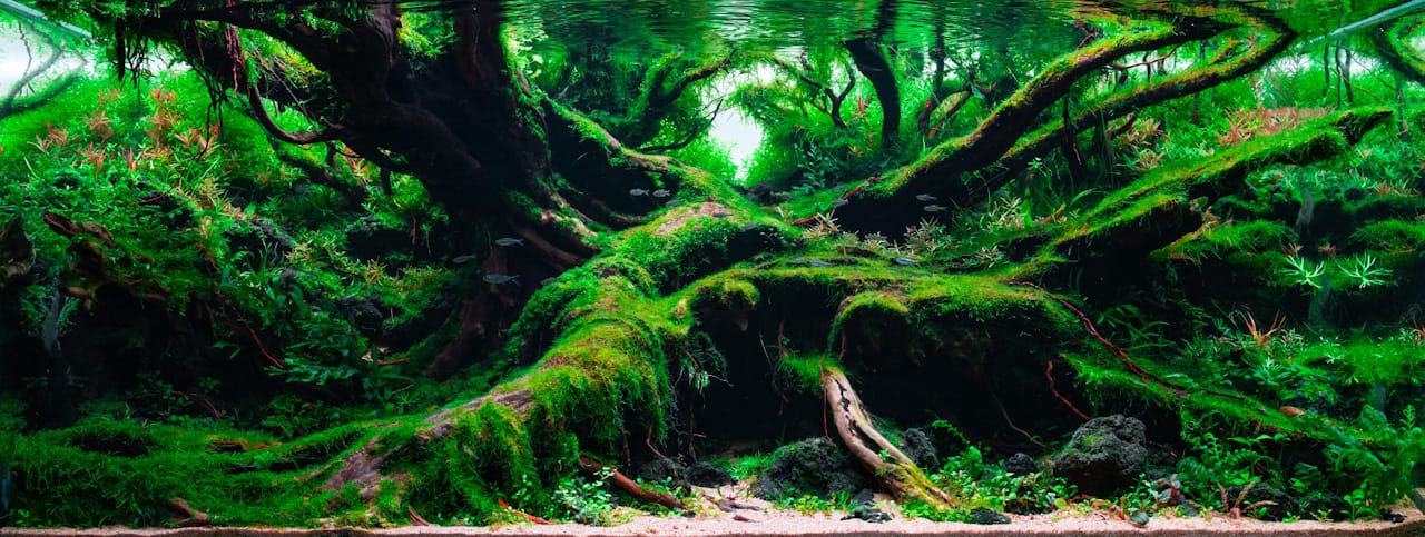 Mystical aquascape with massive moss-covered roots, dense green plants, and fish in a submerged forest.