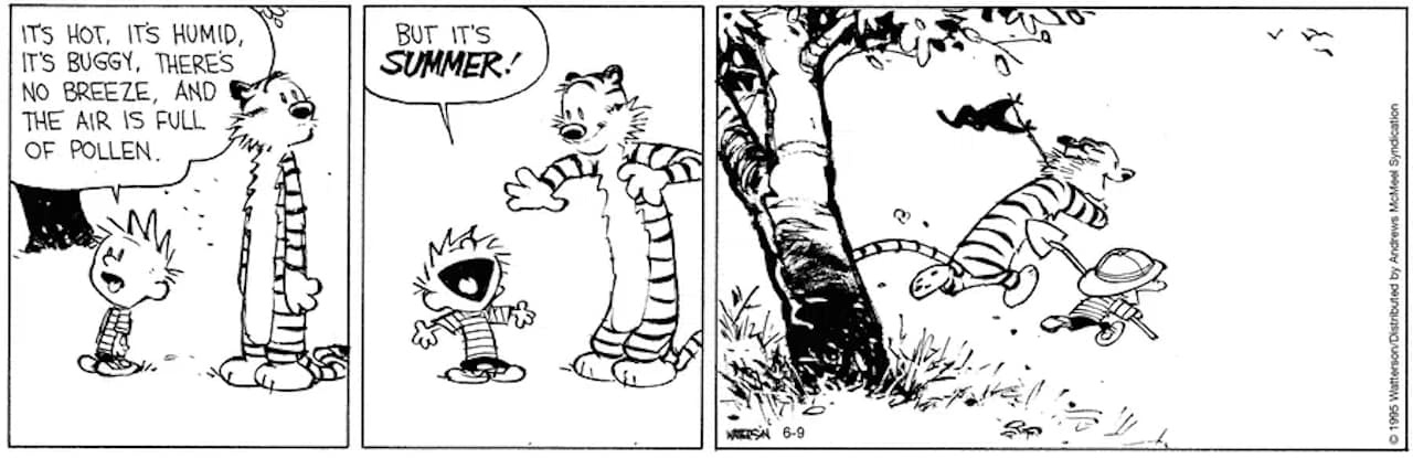 Friday Funnies Volume 3 Calvin and Hobbes. The comic shows Calvin complaining to Hobbes about the tough summer weather and conditions, and then rushing off to play and have adventures.