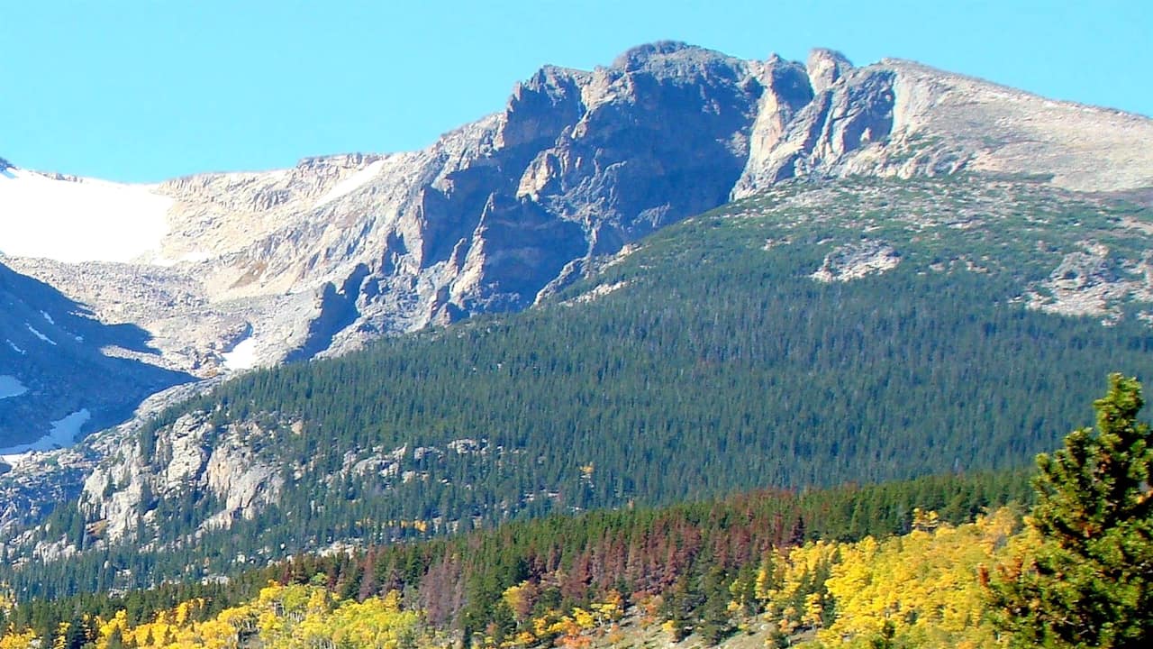Flat Tops Wilderness landscape highlighting Flat Top Mountain with a forested slope in the foreground, patches of yellow autumn trees, and rugged, rocky peaks under a clear blue sky.