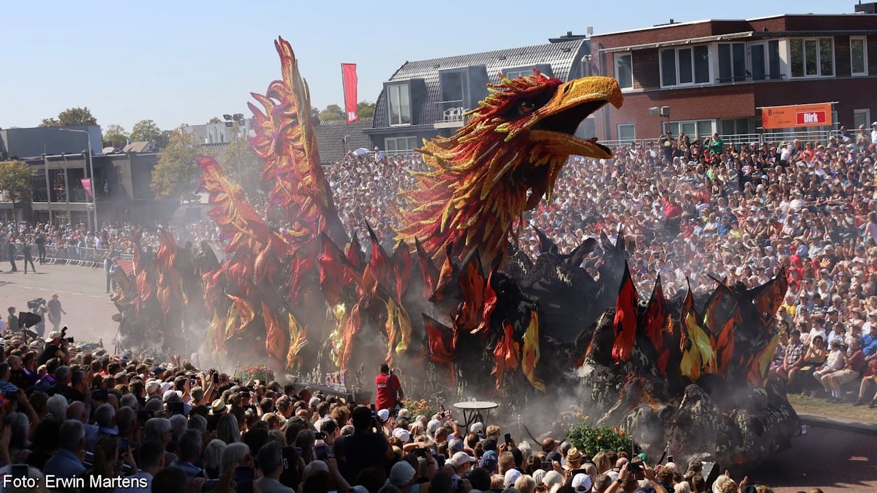 Incredible parade float made entirely of Dahlias showing a red and gold phoenix rising from the ashes.