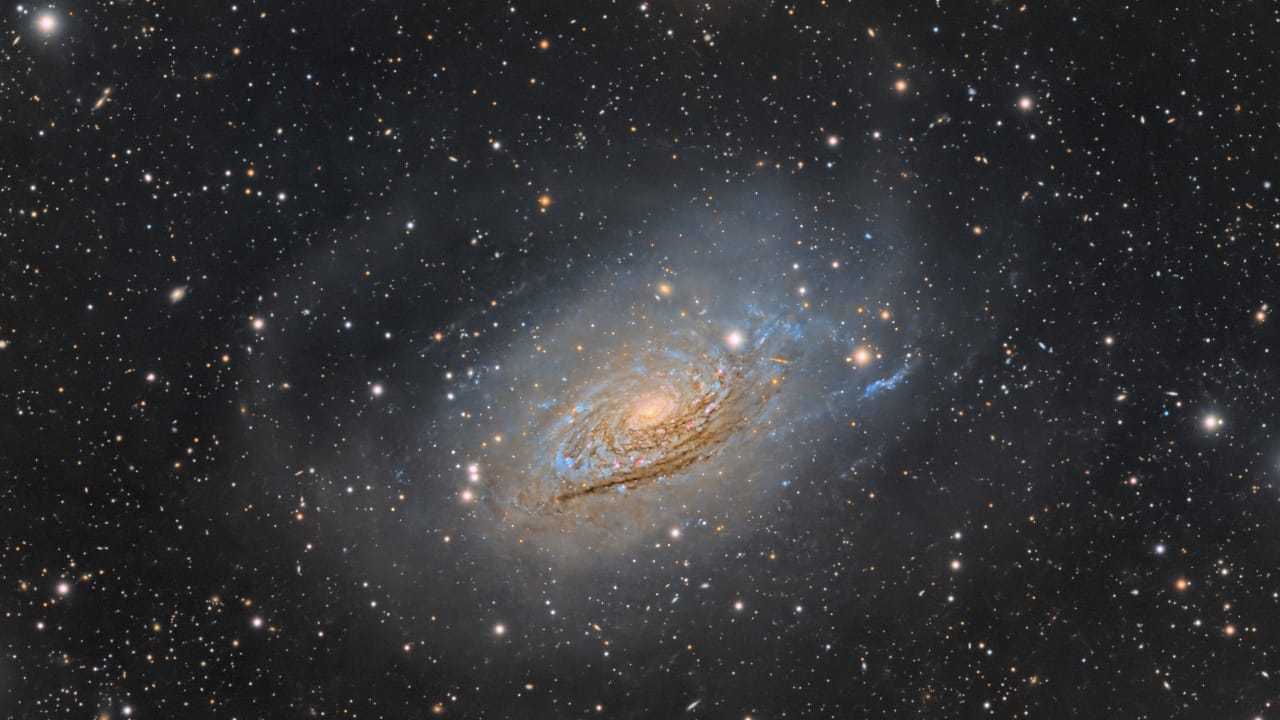 A stunning view of the Sunflower Galaxy, showcasing its bright core and spiral arms, surrounded by distant stars.