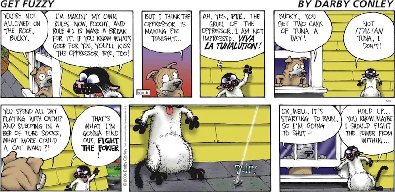 Friday Funnies Volume 4 Get Fuzzy. The comic shows Bucky telling Satchel how brave he is outside until it starts raining and he wants to come inside.