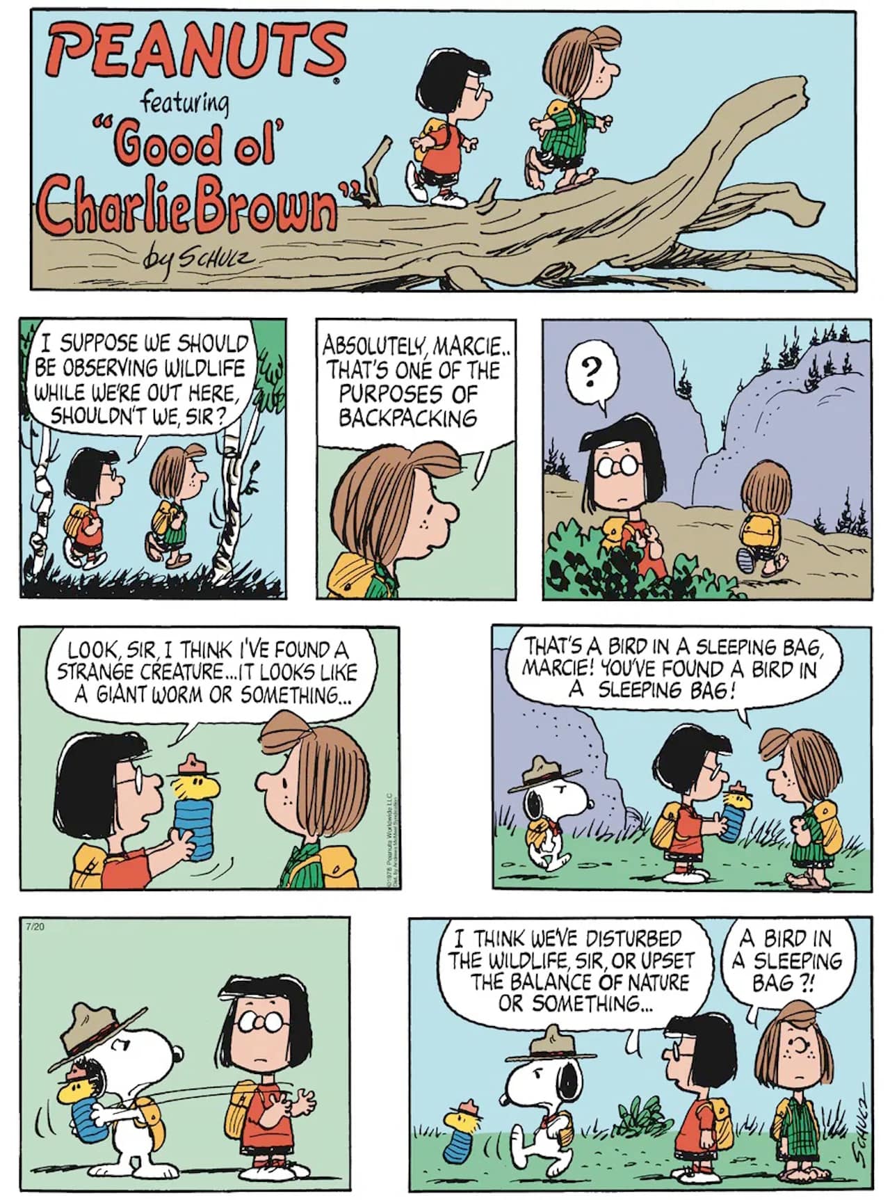 Friday Funnies Volume 4 Peanuts. Peppermint Patty and Marcie are camping with Snoopy and Woodstock gets stuck in his sleeping bag; Marcie thinks it is a strange creature.