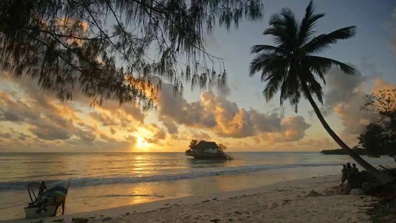 Spectacular sunset behind a tiny island with a palm tree in the foreground.