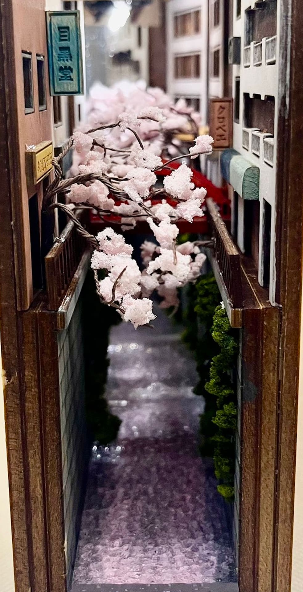 Spectacular book nook showing a narrow waterway with apartments on both sides and beautiful white cherry blossoms.