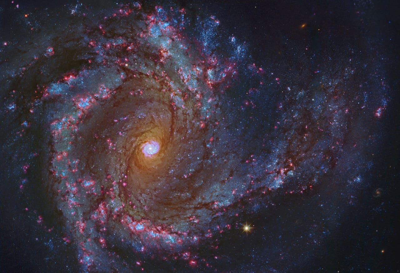 Stunning view of spiral galaxy M61, showcasing its bright center, sweeping arms, and vibrant star-forming regions.