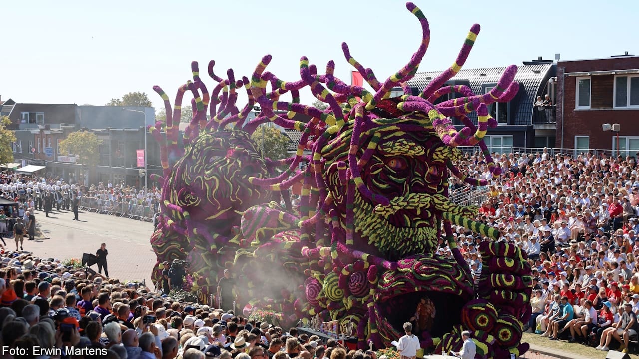 Wild flower parade float showing two heads with purple dreadlocks.