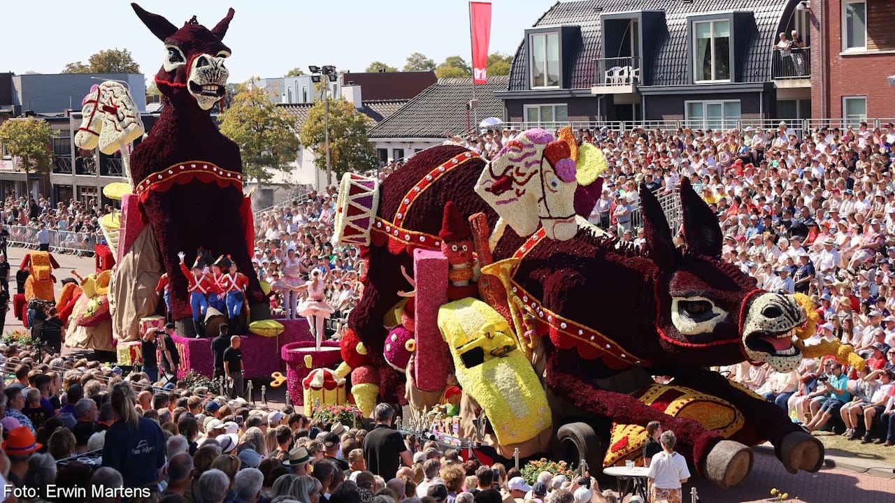 Quirky flower parade float showing two dark red donkeys helping to deliver Christmas presents.
