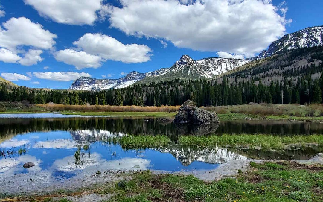 Flat Tops Wilderness